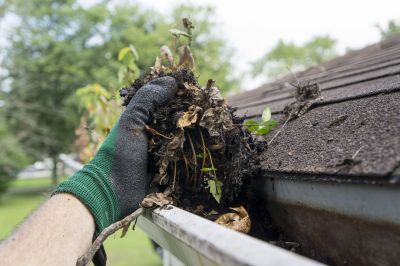 Business Gutter Cleaning in Sacramento, CA