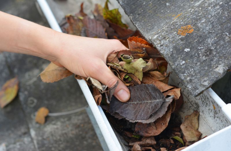 Commercial Downspout Cleaning in Denver, CO