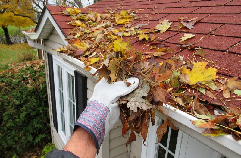 Gutter Leaf Clearing in Frederick, MD