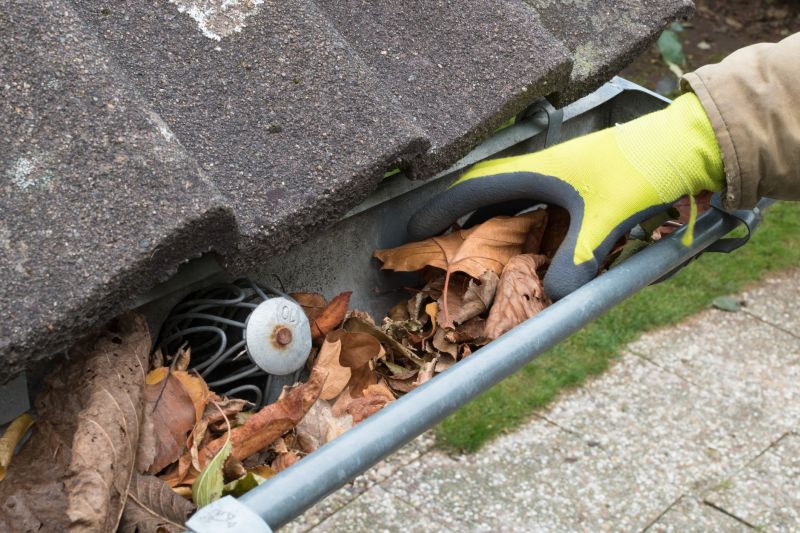Business Gutter Cleaning in Denver County, CO
