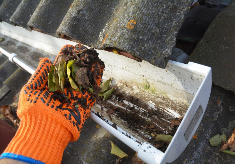 Clogged Gutter Clearing in Rochester, NY