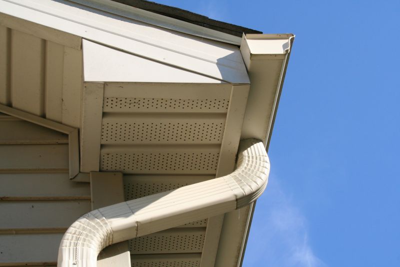 Downspout Snaking in Boulder, CO