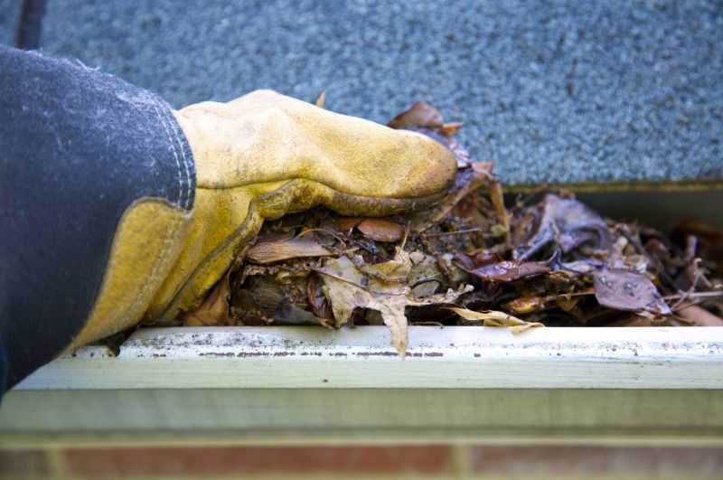 Gutter Blockage Removal in Arvada, CO