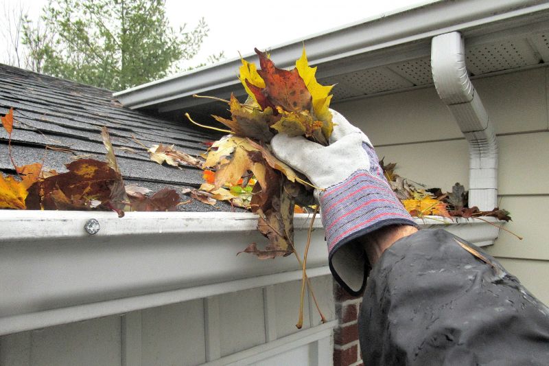 Gutter Blockage Removal in Annapolis, MD