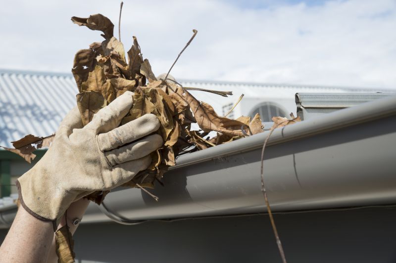 Gutter Leaf Clearing in Boulder, CO