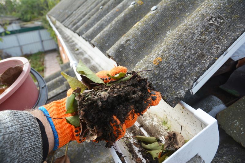 Gutter Leaves Removal in Long Island, NY
