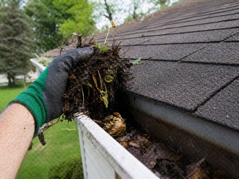 Gutter Leaves Removal in Boulder, CO