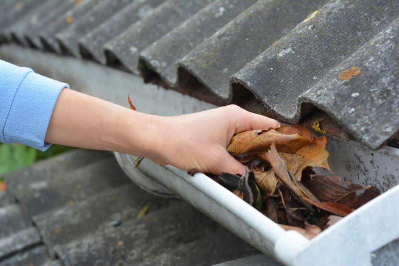 Gutter Leaves Removal in Boulder, CO