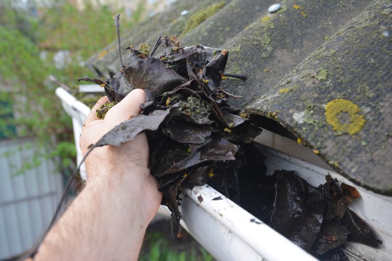 Gutter Pine Needle Removal in Long Island, NY